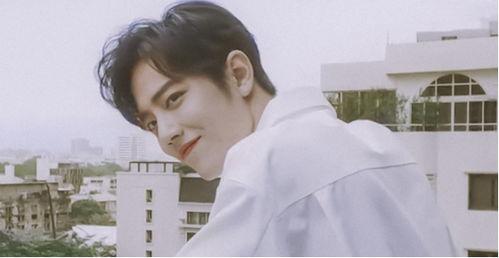 肖战表弟爆料视频,背后惊人真相曝光 第1张 肖战表弟爆料视频,背后惊人真相曝光 第1张